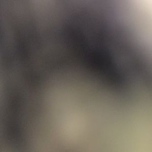 Meet your Posher, Abbi